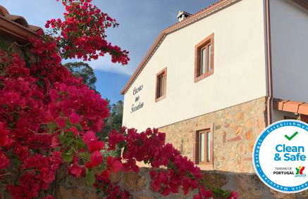 Casas no Terreiro - Photo 5