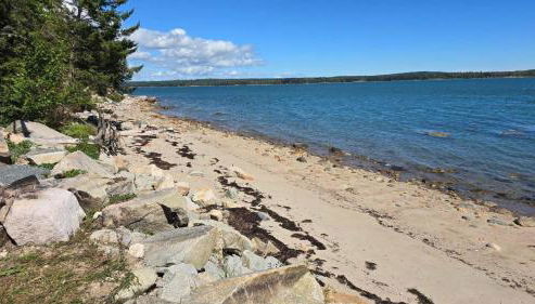 Saltwater Serenade - Foto 2