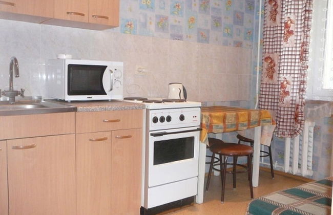 Apartment on Kholodilnaya 134 - Photo 12