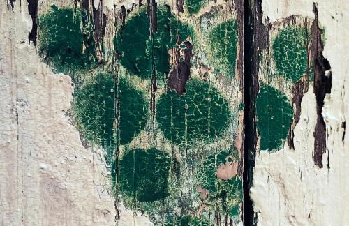 Pfalz-Dorfhaus - Foto 29