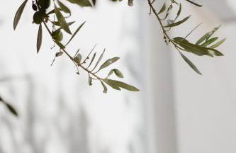 Cocci di tufo Appartamenti - Foto 38