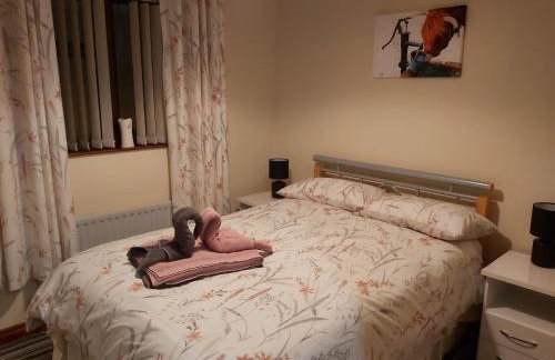 Foot of the Mournes - Cottage - Sleeps 4 - Parking - Photo 49