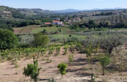 Domus Quarticelli Costa dei Trabocchi - Foto 30