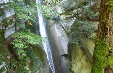 L'appartement enchanteur d'Angon - Photo 9