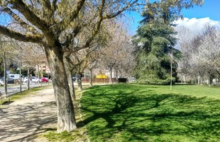 Atico España - Foto 18