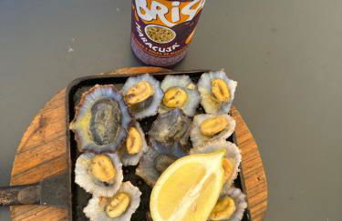 The Green Valley House - Photo 75