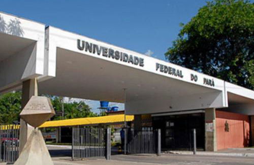 Cantinho Amazônico - Foto 31