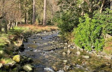 Poets Cottage Eglwys Fach - Foto 49