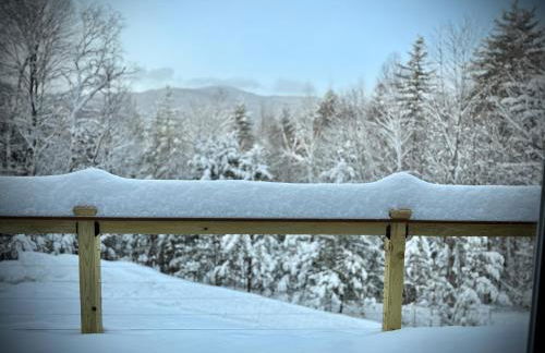 Ski Mountain Home Unit A - Foto 31