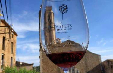 Ca l'Aixut Turismo Rural - Foto 41