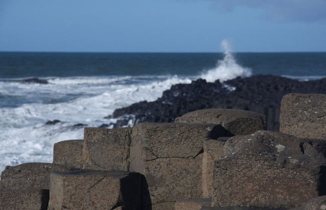 Bayview Farm Holiday Cottages - Foto 30