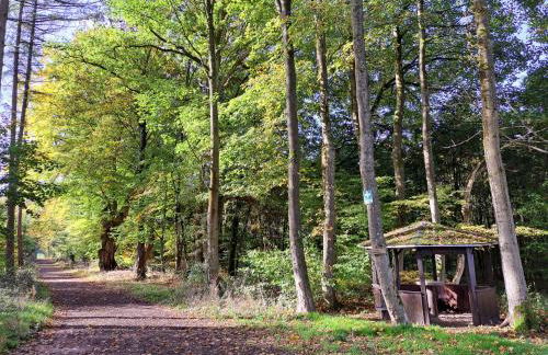 Steewer Landhaus gemütliche Ferienwohnung bis 6 Pers in ruhiger Ortsrandlage - Foto 48
