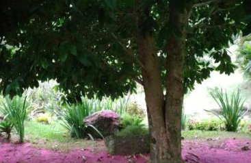 Quinta da Pedra do Elefante - Foto 24