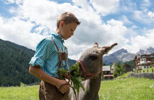 Natur Luch Sossach - Foto 12