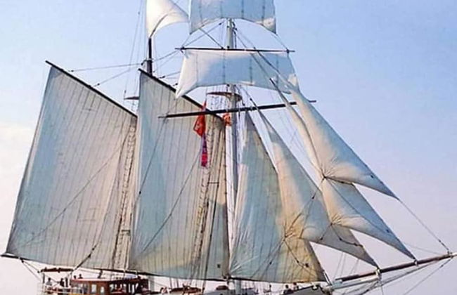 Immaculate 8-bed Cottage in Harlingen - Foto 16