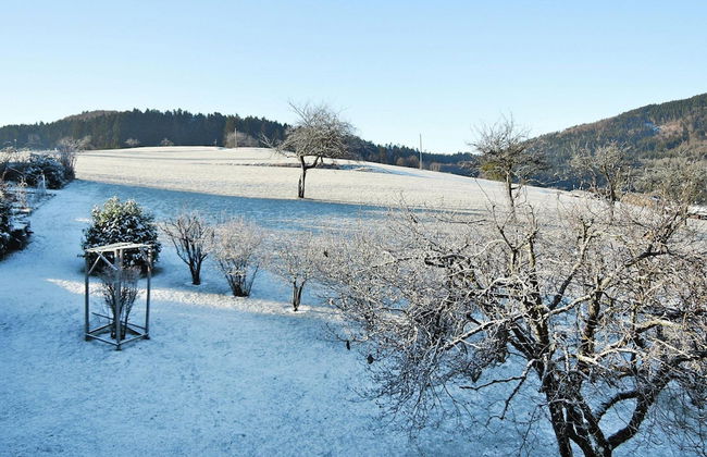 Apartment in Sallneck Near Nonnenmattweiher Lake - Foto 28