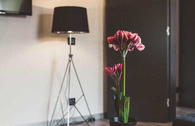 Aparthotel New Lux - Photo 77