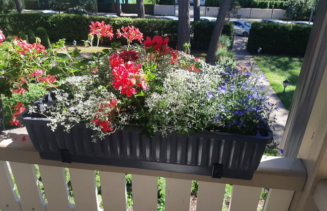 Aparthotel Wooden Villa - Photo 32