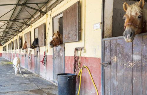 Agriturismo Casal Cerqueto - Photo 12