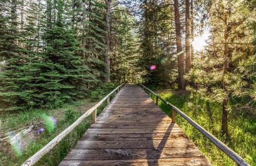 Forest Escape - GM 428 - Foto 8