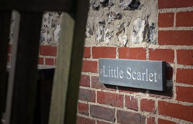 Little Scarlet - Foto 16