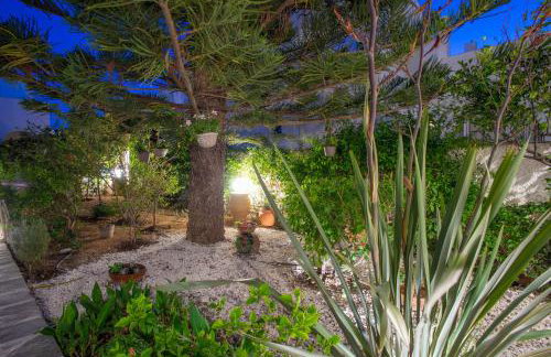 Marioly Studios - Foto 73