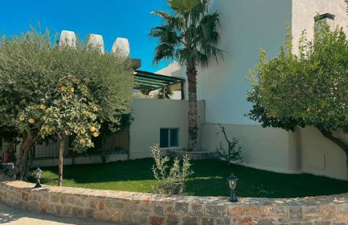 Ammoudara Beach Hotel & Apartments - Foto 12