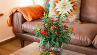 Apartamentos Montes Vindios - Foto 5