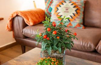 Apartamentos Montes Vindios - Foto 5