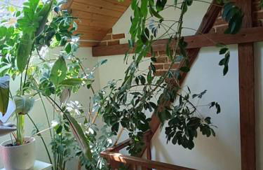 Haus Luise - Foto 34