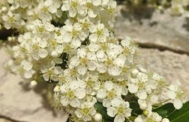 Lunamora 4 - Foto 36