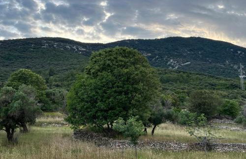 Podgora Experience Suite II - Foto 23