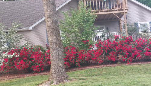 Serenity Hill bed and Breakfast - Foto 4