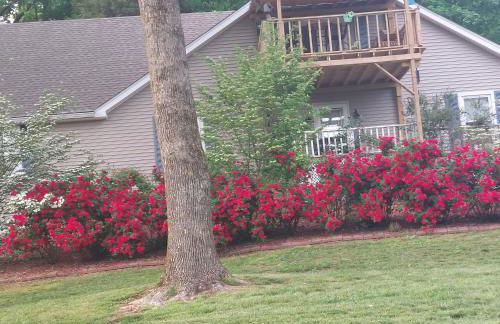 Serenity Hill bed and Breakfast - Foto 4