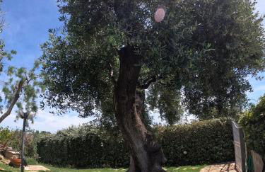 Holiday Home Pilone - Foto 7