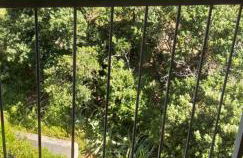 Rocce sul Mare - Foto 8