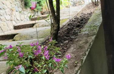 GITE BAS-EN-BASSET, HAUTE-LOIRE, MAISON et JARDIN ATYPIQUE PLEINE NATURE - Foto 15
