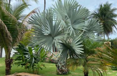 Tiki Pool's Bungalows - Foto 66