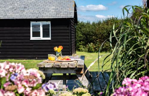 Harbour Lodge - Photo 17