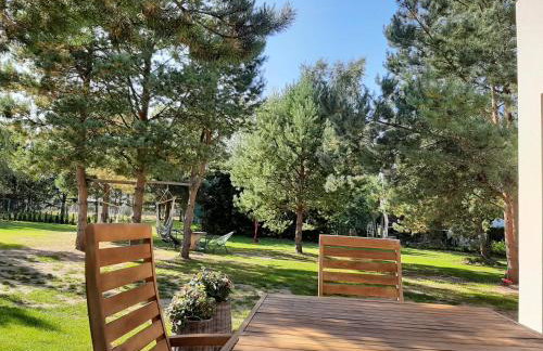 Sosnowe Zacisze - Foto 9