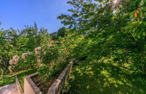 House Vicky - Foto 59