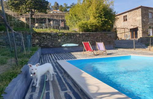 Quinta de Sobre a Fonte Charming Apartments - traditional winery - Foto 64