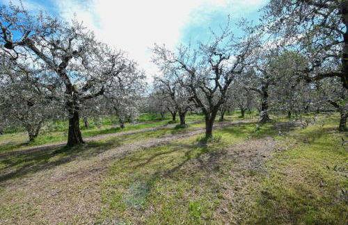 Agriturismo I sentieri del Vino - Lago Lucone - Foto 54