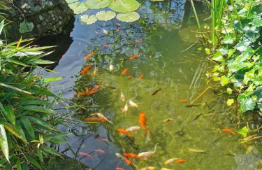 Casa do Faial - Braga - Foto 13