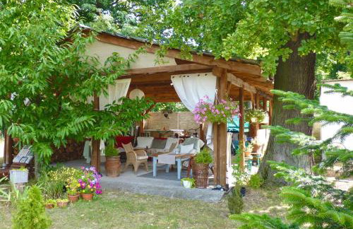 Ptasi Ogród - Foto 21