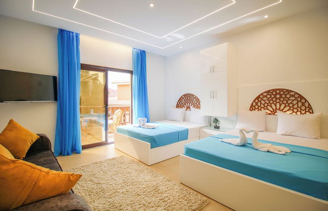 SeaView Turtles - Foto 30