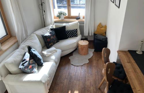 Cesa Prinoth - Foto 4