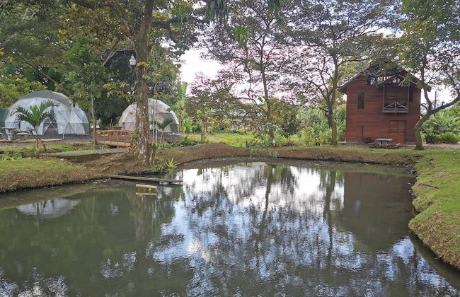 Domo Geodésico 01 - Foto 14