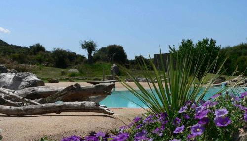 L'Alivi di l'Osari - Foto 5