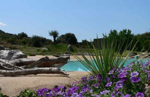 L'Alivi di l'Osari - Foto 5